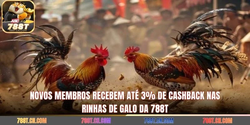 Novos membros recebem até 3% de cashback nas rinhas de galo da 788T