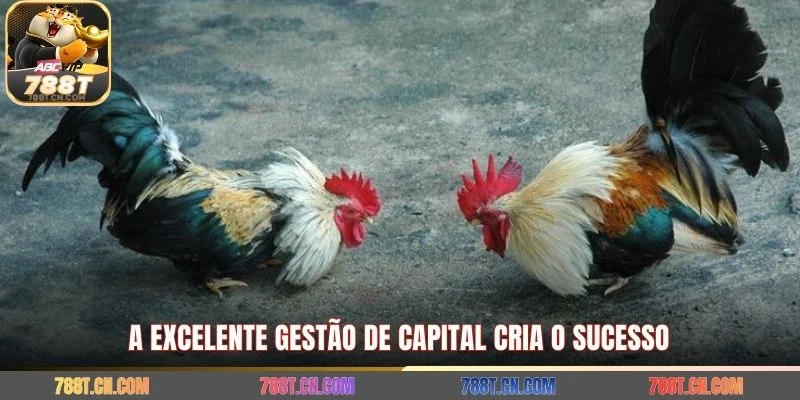 A excelente gestão de capital cria o sucesso