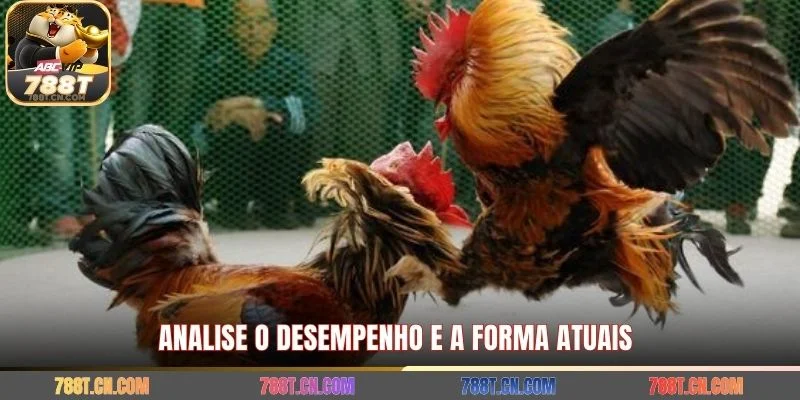 Analise o desempenho e a forma atuais 