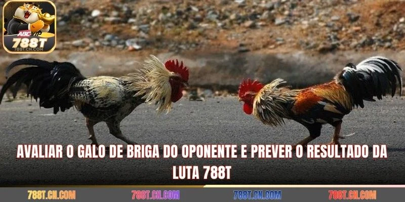 Avaliar o galo de briga do oponente e prever o resultado da luta 788T