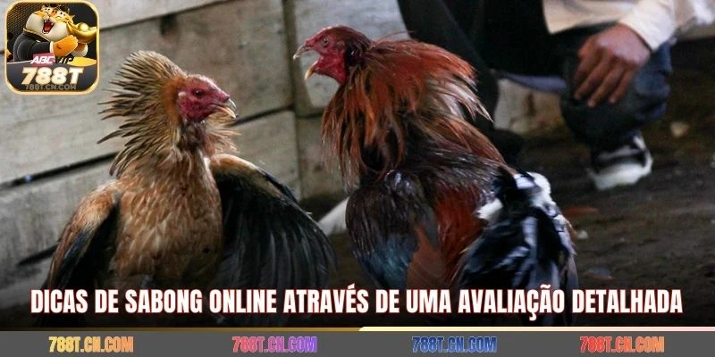 Dicas de sabong online através de uma avaliação detalhada