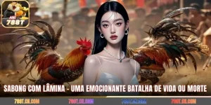 Sabong Com Lâmina - Uma Emocionante Batalha De Vida Ou Morte