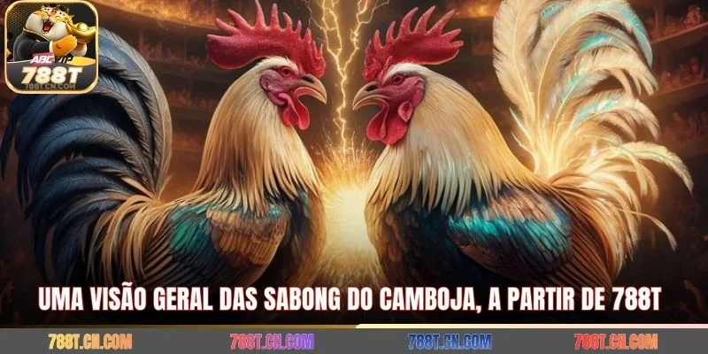 Uma visão geral das Sabong do Camboja, a partir de 788T 