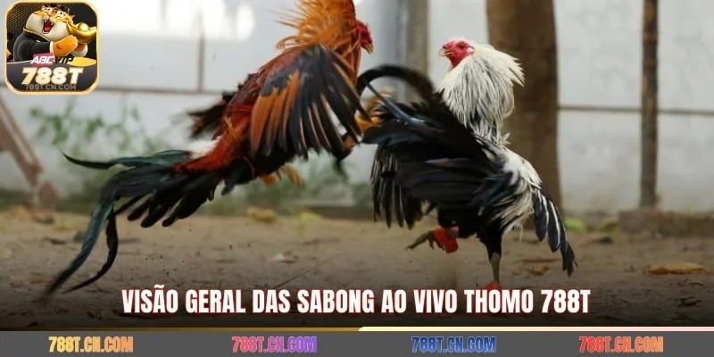 Visão geral das sabong ao vivo Thomo 788T