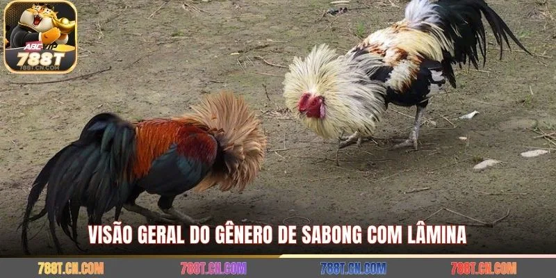 Visão geral do gênero de sabong com lâmina